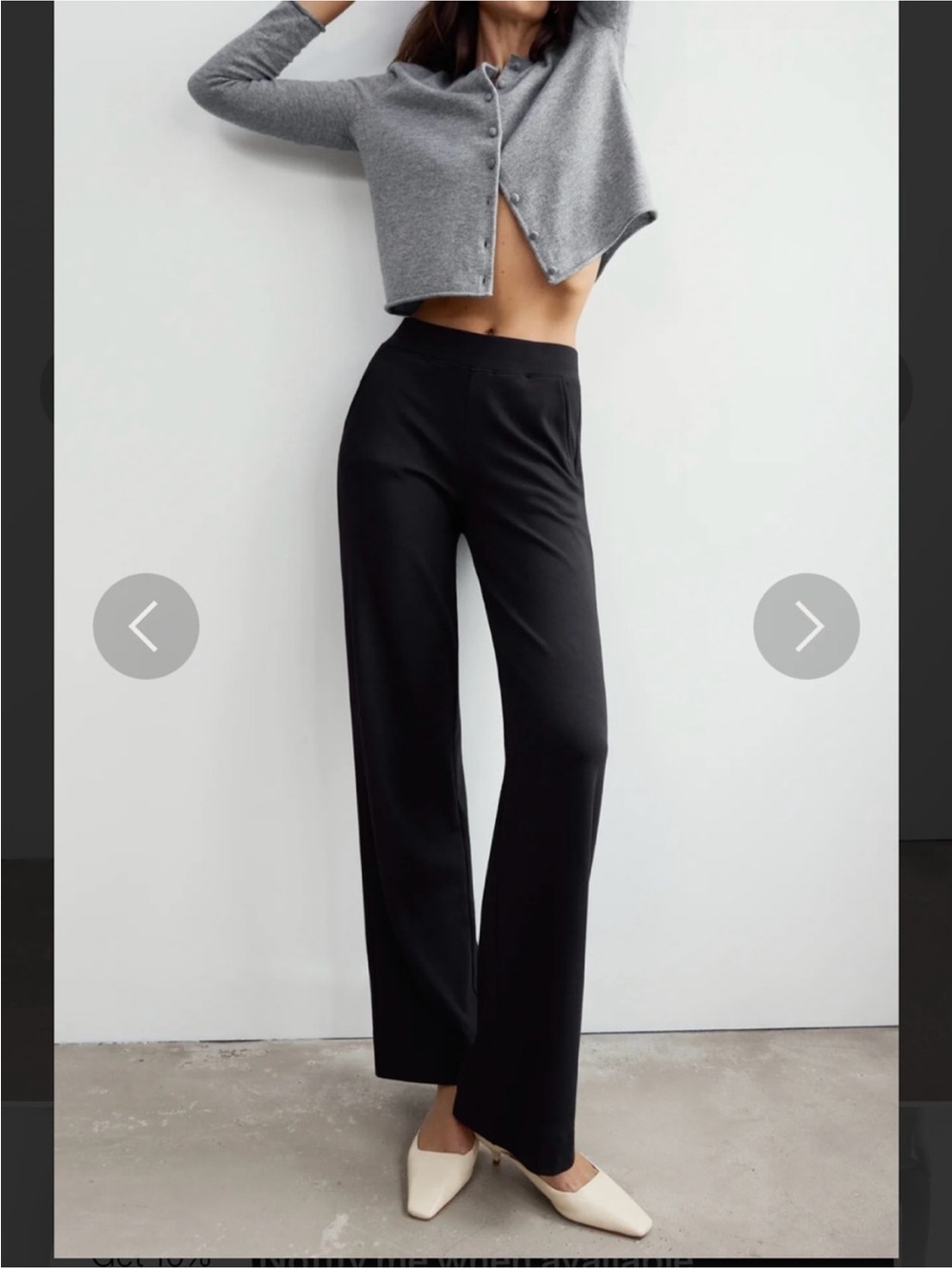 AYR High Hopes pants
